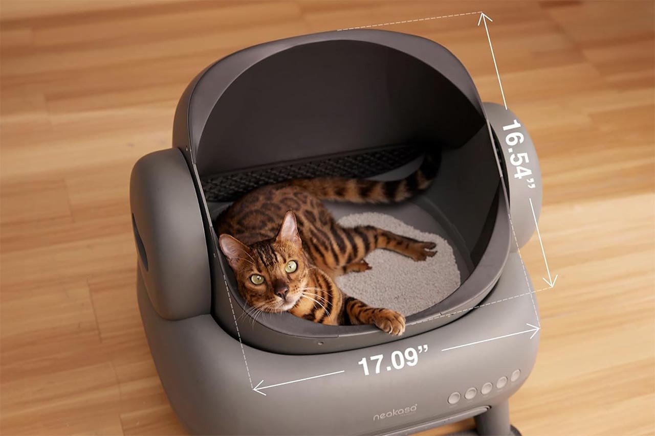 Gato entrando cómodamente en el Neakasa M1